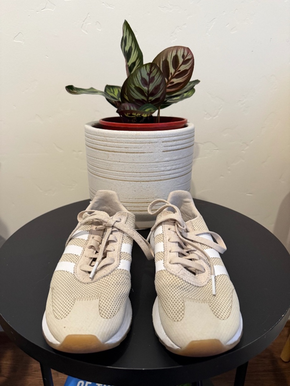 Adidas sneakers